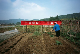 别有用心？法国摄影师拍中国特色横幅