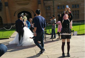 刘强东携奶茶妹妹悉尼拍唯美婚纱照