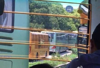上海载400游客观光车被困动物园猛兽区