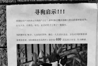 北京老人悬赏寻爱犬：送价400万元房产