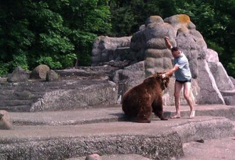 波兰一男子跳入动物园暴打母熊后逃走