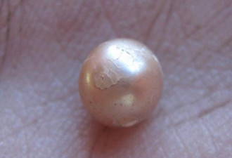 价值连城！考古者发现2000岁天然珍珠