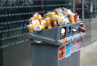多伦多春季大扫除 竟然清出8125吨垃圾