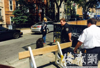 纽约华人打狗被邻居拍下 警方介入调查