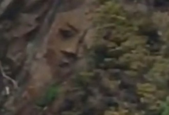 卑诗悬崖峭壁神秘巨脸现踪 人为?自然?