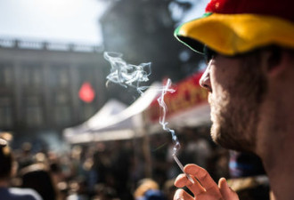 加国首例 温哥华要给大麻零售商发执照