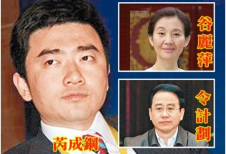 惊！央视主播芮成钢自爆遭令计划妻逼奸