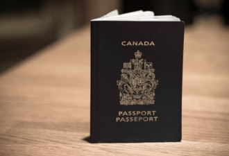 削海关开支 截获假护照入境案逐年减