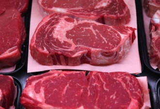 阿省萨省持续干旱 加拿大牛肉价格飙涨
