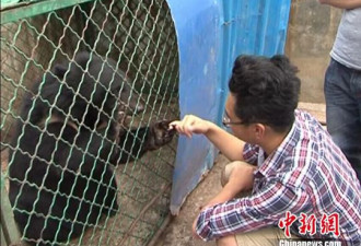 云南村民养&quot;宠物狗&quot; 2年后发现是黑熊