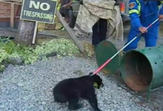 拒杀小熊被停职动物保护员获民众支持