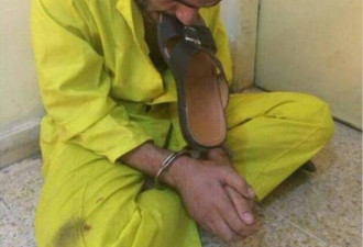 IS成员被捕 在发布会上被令叼鞋羞辱