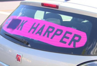 车上贴反哈珀标语挨罚单 原因竟然是？