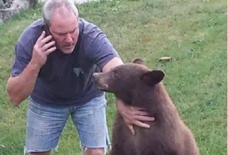 加国大叔后院发现一只熊 竟然养起来了