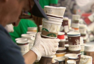 全加每年用16亿个 咖啡纸杯拟征回收费