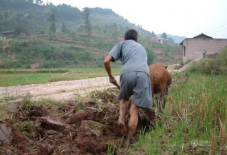 摄影师11年记录32组山区农村人的生活