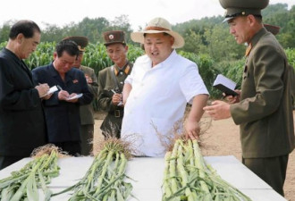 金正恩暴饮暴食 五年内体重狂增30公斤