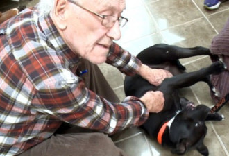 一岁大爱犬触电 88岁翁心肺复苏术救活