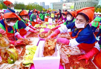 韩国遭40年不遇大旱 白菜一棵近19元