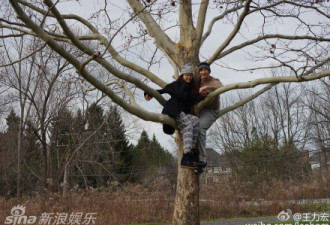 王力宏和老婆去爬树 庆祝结婚两周年