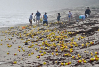 上千罐咖啡冲上美国海滩 引游人抢拾