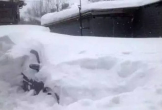 图：俄罗斯一夜大雪 一下就是十几米