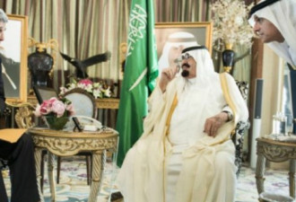 BBC揭IS财源：沙特卡塔尔土耳其支持