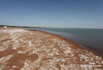 中国最大沙漠淡水湖严重缩水 或消失