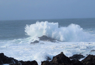 2016年新年前夕在温哥华岛的Ucluelet