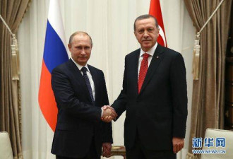 IS证实向土耳其卖石油 土国总统辞职吗