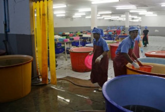 海鲜市场上充斥奴隶劳工生产的剥皮虾