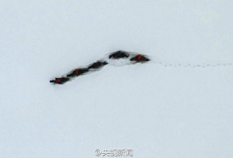 新疆阿勒泰连续降雪14天 马儿成潜雪艇