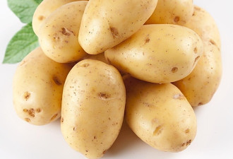加拿大营养学家：吃土豆可给孩子补脑