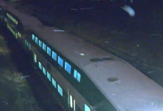 黑人男子GO火车企图抢劫 列车迫停数小时