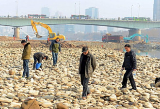 黄河已经干了，市民纷纷到河心捡石头