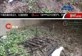 重庆女子自家阳台赏雪 从24楼坠落亡