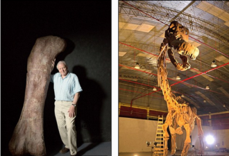 阿根廷发现史上最大恐龙：体长达37米