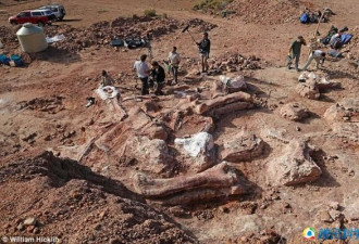 阿根廷发现史上最大恐龙：体长达37米