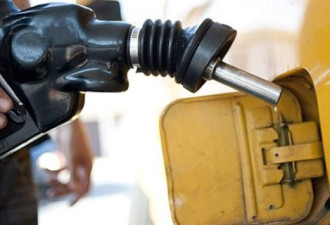 BMO：现在的汽油价应在$0.80/升左右