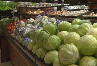 食品价格疯涨 上月通货膨胀率升至1.6%