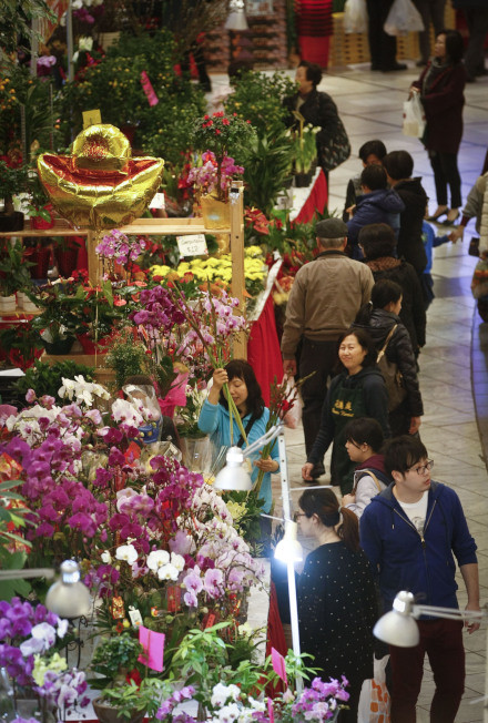 春节来临，在加拿大大温哥华地区里士满市，当地市民纷纷来到室内年宵花市��买鲜花，以迎接春节来临。（新华社）