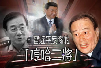 习近平一句话 泄露刘源退役真实原因