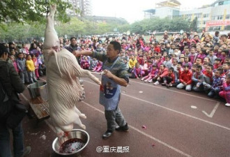 重庆小学组织学生集体看杀猪过平安夜