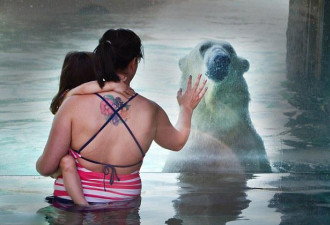 加拿大男童大亲吻北极熊 场面很温馨