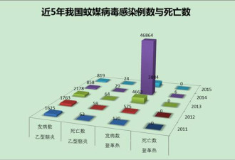 让巴西出现4000多小头婴儿的病毒蔓延