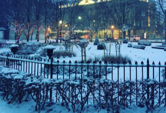 市民镜头集 2016年多伦多的第一场雪