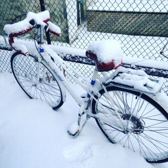 Toronto Snow