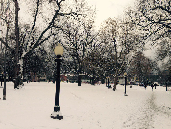 Toronto Snow