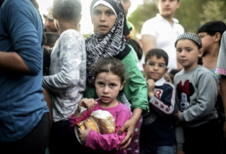 别被误导了：难民每天实际餐费仅3.5元