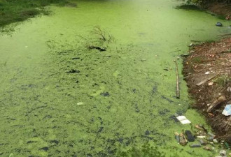 中国水困局：鄱阳湖成草海还要防火！